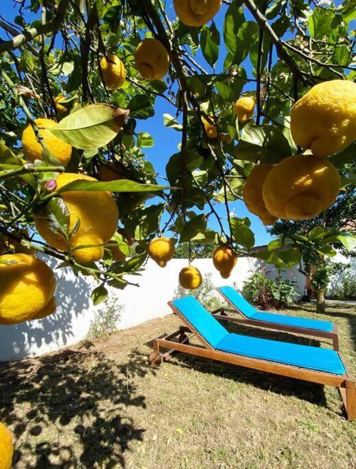 Terra Da Lagoa - Villa Near The Beach & Lagoon Nadadouro Exterior photo